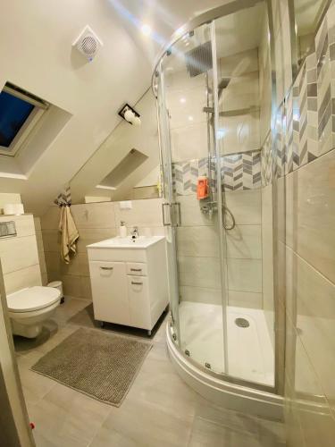 a bathroom with a shower and a toilet and a sink at Chata Nova in Milejczyce