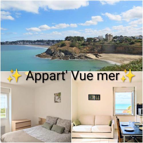 Appart vue mer-au pied du chemin de randonnée " Bassan"