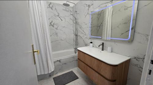 a bathroom with a sink and a mirror and a shower at Les Grands Cedres D3 in Nice