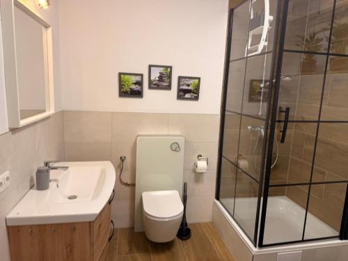 a bathroom with a toilet and a sink and a shower at Casa Daniela Residence in Vilshofen an der Donau