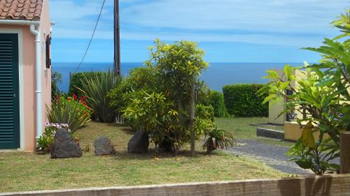 a garden with plants and rocks in front of a house at Faial Cottage in Cedros
