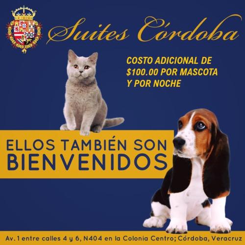 a cat and a poster of a dog and a cat at Hotel Suites Córdoba in Córdoba