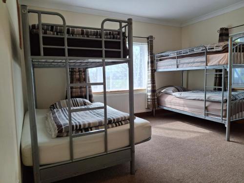 two bunk beds in a room with a window at Tom's Alpaca Cottage in Mooncoin