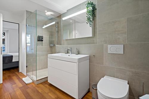 Newly renovated apartment next to Lake Zurich with private terrace