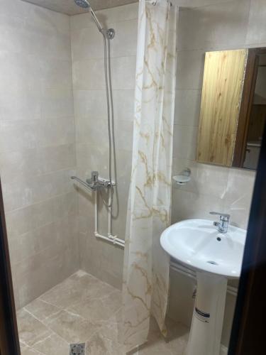 a bathroom with a sink and a shower at Bardzunq Garden Resort in Goghtʼ