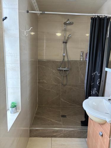 a bathroom with a shower and a sink at Spacious Apartment -Top Location in Akureyri