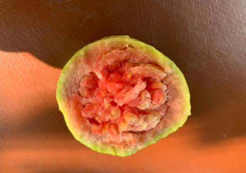 a close up of a pink food in a green wrapper at Highwalton Estate Heritage Bungalow in Udasgiriya