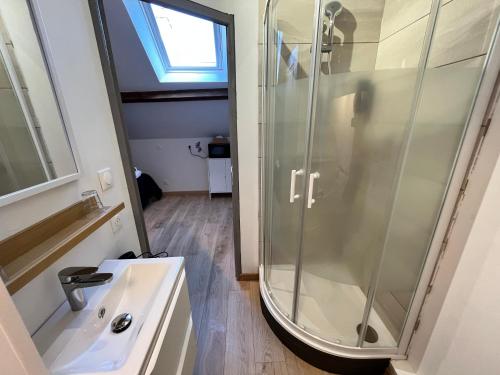 a bathroom with a shower and a sink at Le Gué de Clecy in Le Vey
