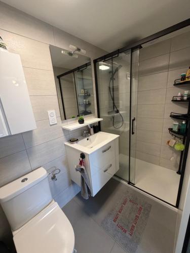 a bathroom with a white toilet and a shower at La Parenthèse coté Saar in Wittring