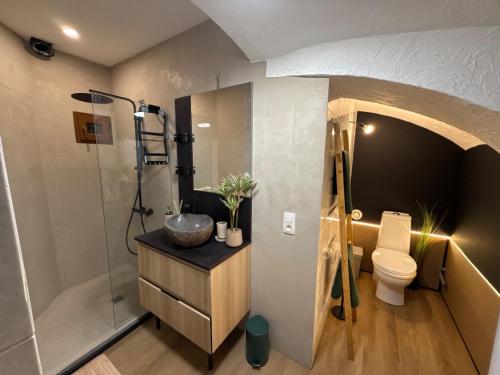 a bathroom with a shower and a toilet and a sink at Capstay Dinant in Dinant