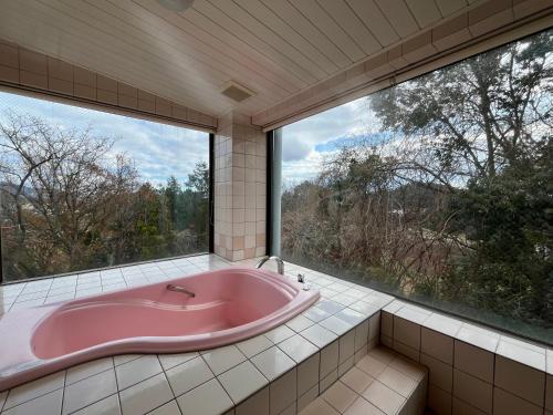 a pink bath tub in a room with large windows at ホテル アルファ in Iizaka