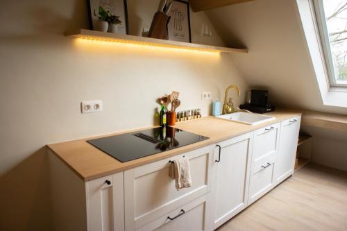 a kitchen with a sink and a counter top at Polderloft 27 in Hengstdijk