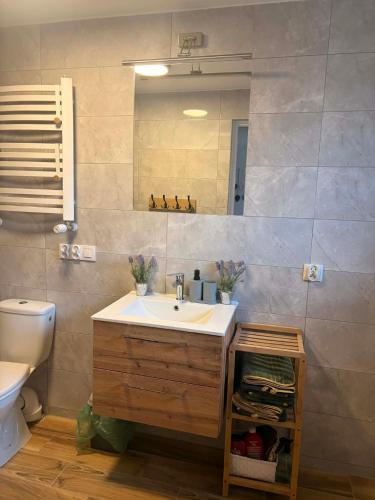 a bathroom with a sink and a mirror at Dolina Świtu in Pokrzywna
