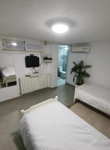 Un dormitorio con dos camas y un televisor. en Studio Cosy, en Túnez