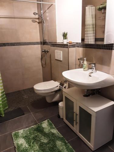 a bathroom with a sink and a toilet and a shower at Evia Ferienwohnung in Heimbach