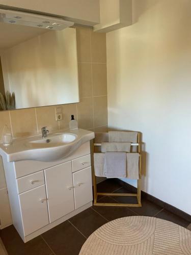 a bathroom with a sink and a mirror and a rug at Ferienwohnung Wiesenweg in Friedrichroda