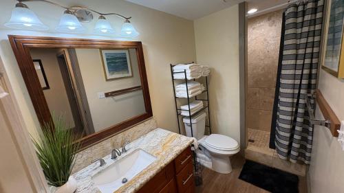 a bathroom with a sink and a toilet and a mirror at Kaena O Kekai in Hauula