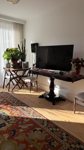 Bolhao Luxury Residence by SantiagoFamilyHouse - 2Bd - Parking & Security