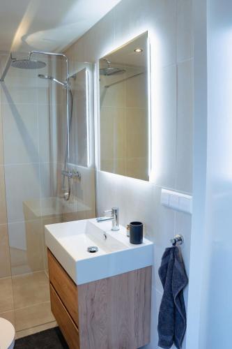 a bathroom with a sink and a mirror at Duijnparadijs appartement 2 in Schoorl