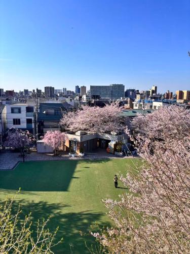C2 Shibuya new hotel, 2 bedrooms and 1 living room, 7 mins to ST Max 6P 渋谷全新酒店 全新装修 两室一厅 交通中心 车站7分钟 最大6人 直达新宿 涉谷 表参道 品川 池袋 上野 代代木 银座 原宿