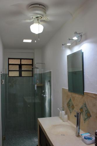 a bathroom with a shower and a sink and a mirror at House with pool in downtown Merida, Yucatan in Mérida