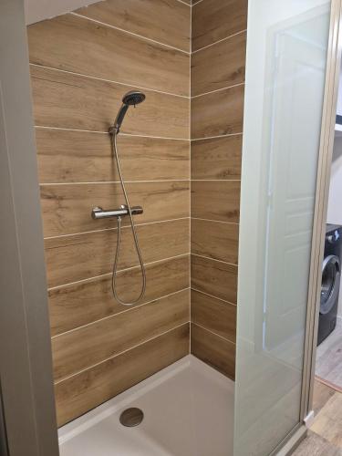 a shower with a shower head in a bathroom at gîte 6 personnes le cocon des pommes in Saint-Lambert-et-Mont-de-Jeux