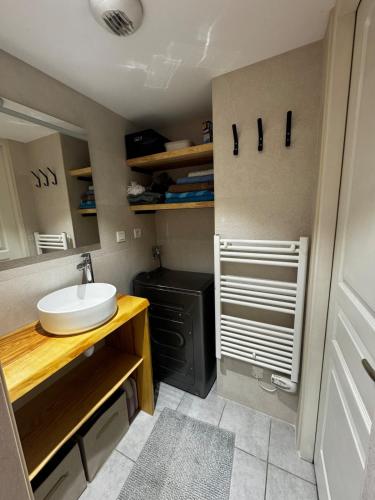a bathroom with a sink and a counter with a mirror at Charmant pied à terre entre lac et montagne in Bourdeau