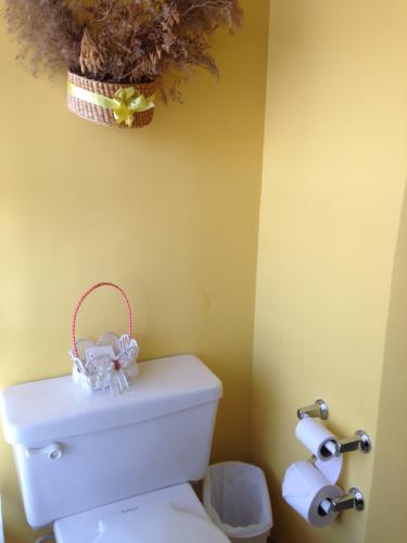 a bathroom with a toilet with a basket on top of it at Mansion Samzara Hosteleria in Sangolquí