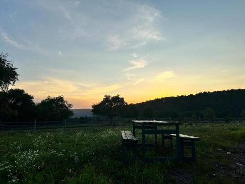 a picnic table and a bench in a field at Carpathian cabin - Icelandic horses - Hestur Ivo in Izvoare