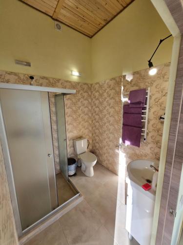 a bathroom with a shower and a sink and a toilet at LeGora in Pryborzhavsʼke