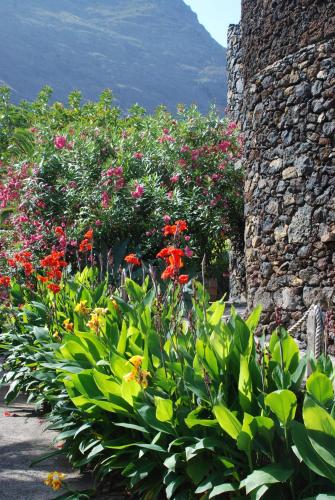 a bunch of flowers in front of a stone building at Apartamentos Finca Wapa in Frontera