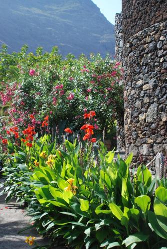 a garden of flowers with a mountain in the background at Apartamentos Finca Wapa in Frontera