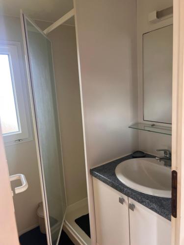 a bathroom with a sink and a mirror at Mobile Home à Louannec in Louannec