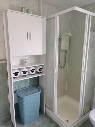a bathroom with a shower and a sink at Woodmount Cottage in Ennistymon