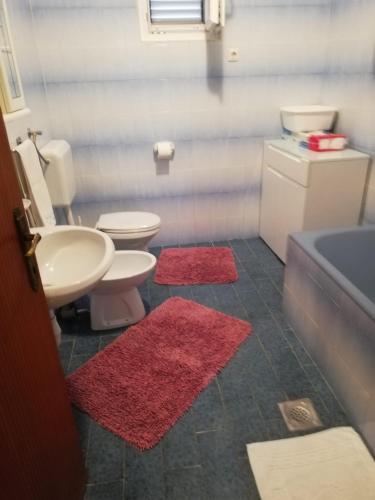 a bathroom with two toilets and two red rugs at Apartment Pavin in Poljana