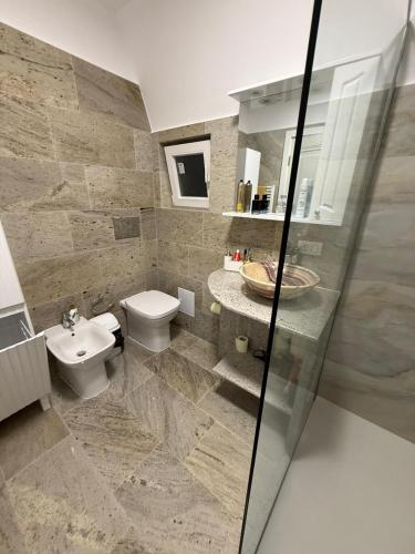 a bathroom with a toilet and a sink at Casa Florescu in Craiova