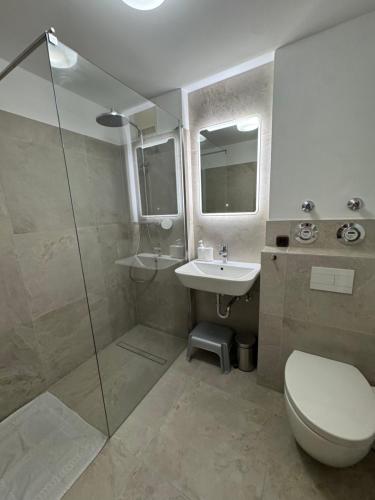 a bathroom with a shower and a toilet and a sink at Bergauszeit mit Sauna in Aschau im Chiemgau