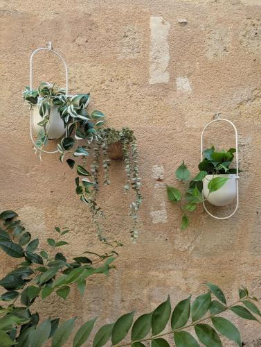 Grand studio avec terrasse au jardin public