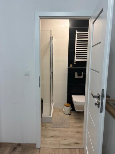 a bathroom with a shower and a toilet at Panda Apartment Plac Solny 4 z klimatyzacją in Głogów