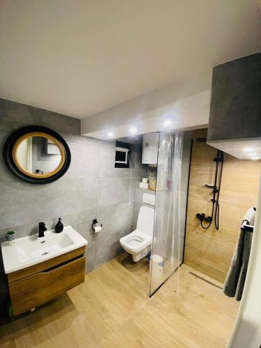a bathroom with a sink and a toilet and a mirror at Lake house Emerald in Jablanica