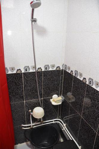 a bathroom with a shower and a toilet in it at Mostaganem kharrouba apartment f3 in Mostaganem