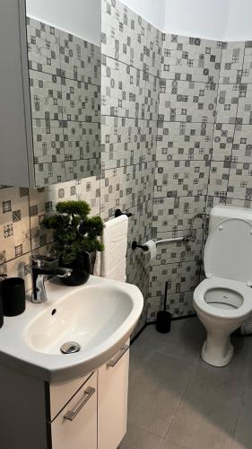 a bathroom with a sink and a toilet at Studio Yas Central Arad in Arad