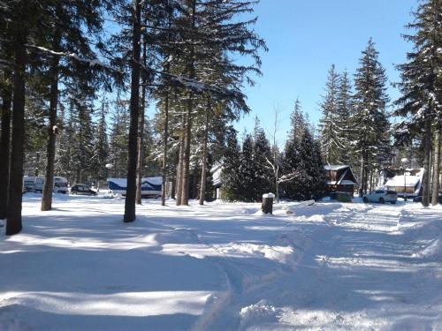 Camping Pod Krokwią durante l'inverno