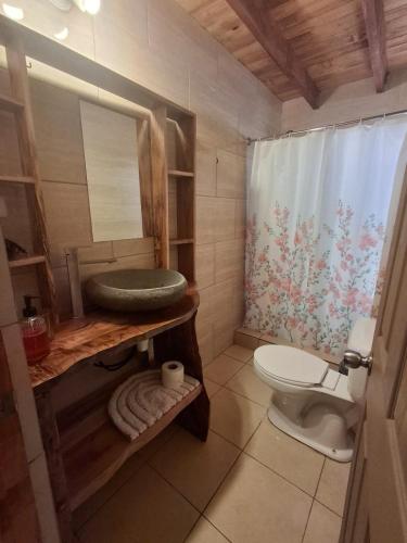a bathroom with a toilet and a shower curtain at Cabañas el Chañar in San Pedro de Atacama