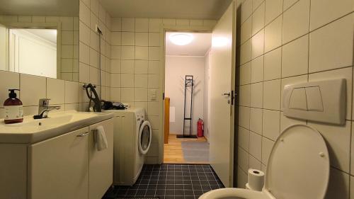 a bathroom with a toilet and a sink and a mirror at Møllergata apartment in Oslo