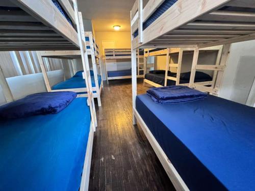 two bunk beds in a room with blue beds at La Cienega Near The Grove & Public Transit in Los Angeles