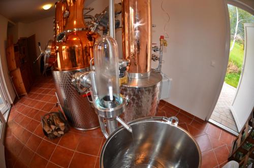a kitchen with a mixer and a metal sink at Wellness Landhaus Parth in Ossiach