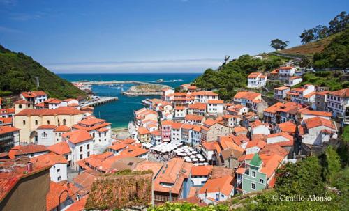 a group of buildings on a hill next to the ocean at Hotel Alvaro frente Palacio-Museo Selgas in Cudillero