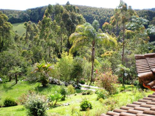 a view of a garden with a bench and trees at Refúgio do Azzi in Monte Verde
