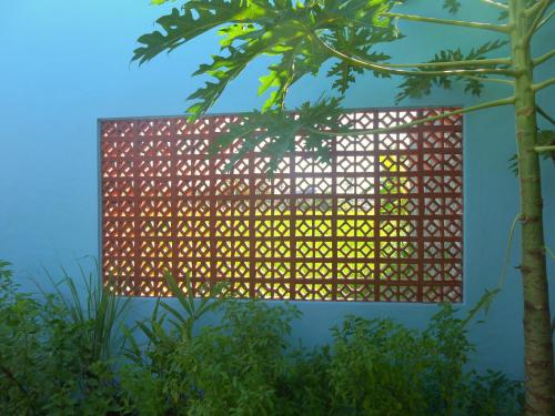 a facade of a building with a tree at Blue Coco in Keramas